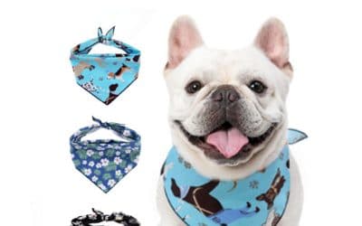 Wholesale Dog Bandanas