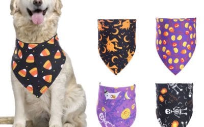 Custom Dog Bandana Printing